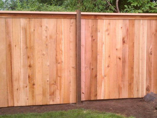 Fences