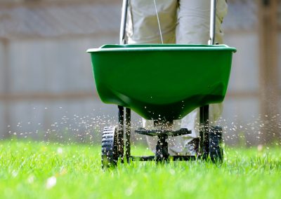 Fertilizing