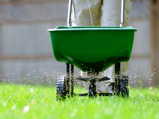 Fertilizing