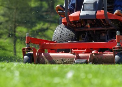 Lawn Mowing