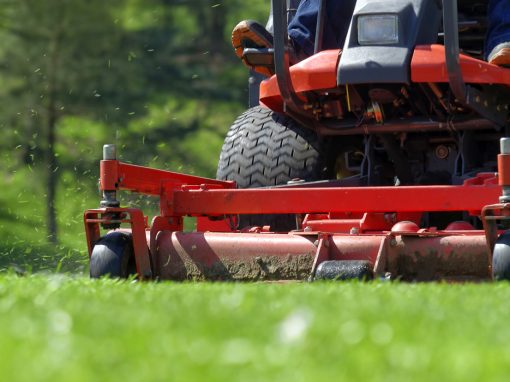 Lawn Mowing