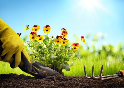 Planting