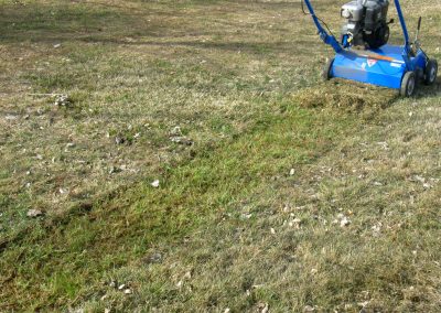 Power Raking