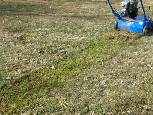 Power Raking