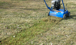 power-raking-320x190