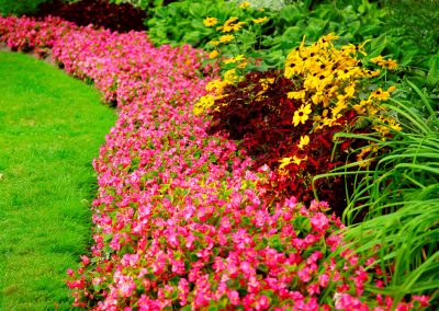 Seasonal Color