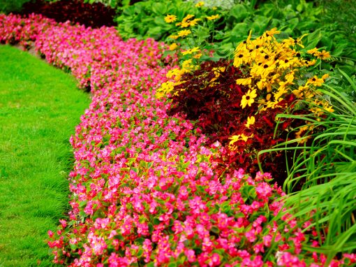 Seasonal Color