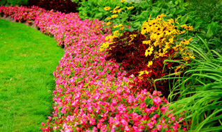 seasonal-color-320x190