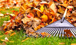 yard-cleanups-320x190